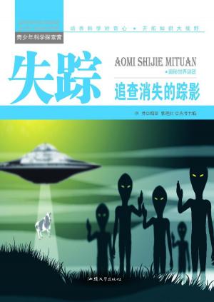 Cover of the book 失踪：追查消失的踪影 by M. M. Plott