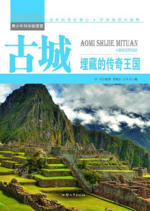 Cover of the book 古城：埋藏的传奇王国 by Andrew-Glyn Smail