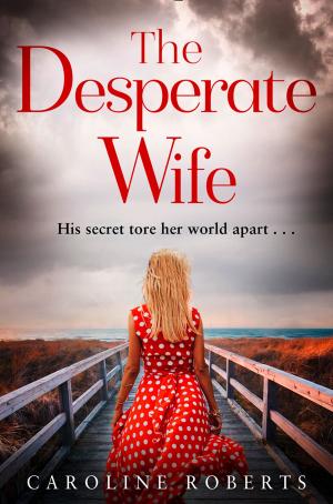 Book cover of The Desperate Wife
