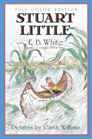 Book cover of Stuart Little