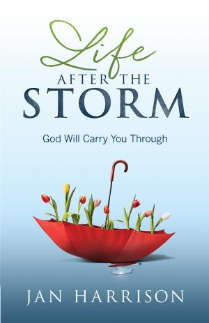 Cover of the book Life After the Storm by Ank Kleinmeulman