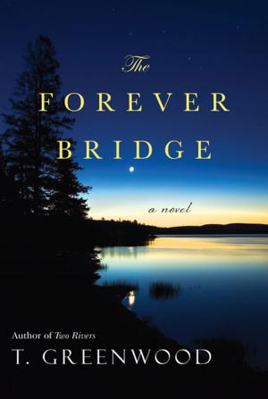 Cover of the book The Forever Bridge by Anna Loan-Wilsey