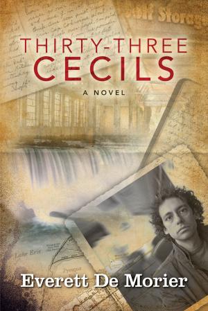 Cover of the book Thirty-three Cecils by François Vaillant