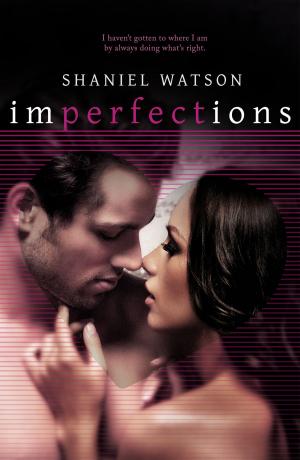 Cover of Imperfections