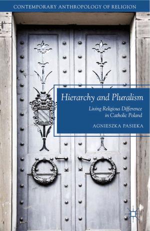 Cover of the book Hierarchy and Pluralism by Heike C. Alberts, Helen D. Hazen