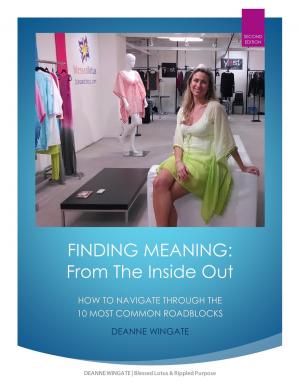 Cover of the book Finding Meaning: From The Inside Out by Lisa Marie Chirico