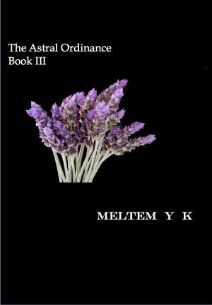 bigCover of the book The Astral Ordinance Book III by 