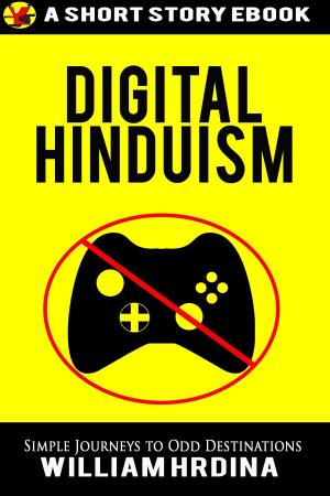Cover of the book Digital Hinduism by D.L. Snow