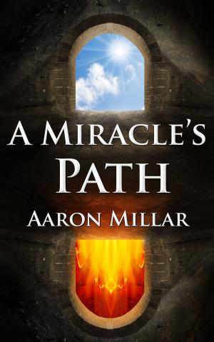 Cover of the book A Miracle's Path by D.A. Graystone