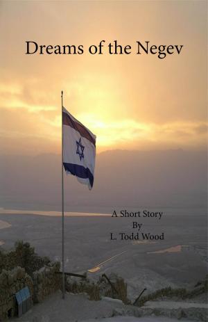 bigCover of the book Dreams of the Negev by 