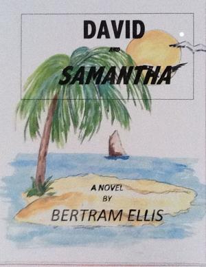 Cover of the book David and Samantha by Emily Casey