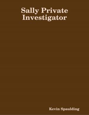 Cover of the book Sally Private Investigator by Anthony Ekanem