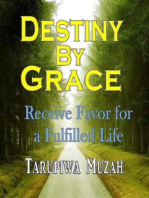 Book cover of Destiny By Grace