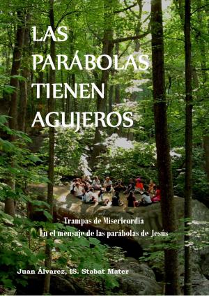 Cover of Las Parábolas Tienen Agujeros