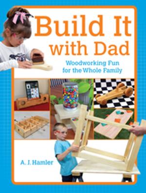 Book cover of Build It with Dad