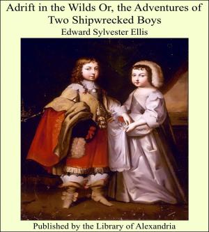 Cover of the book Adrift in the Wilds Or, the Adventures of Two Shipwrecked Boys by Clara Erskine Clement Waters