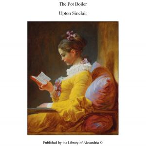 Cover of the book The Pot Boiler by David Lavender