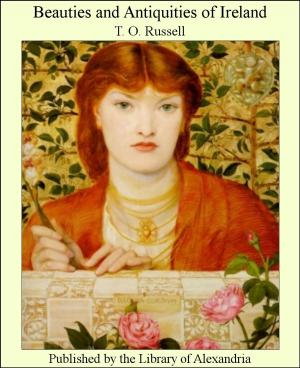 Cover of the book Beauties and Antiquities of Ireland by Pitty Asad