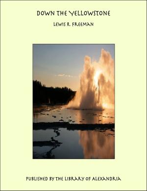 Cover of the book Down the Yellowstone by John William Burgess