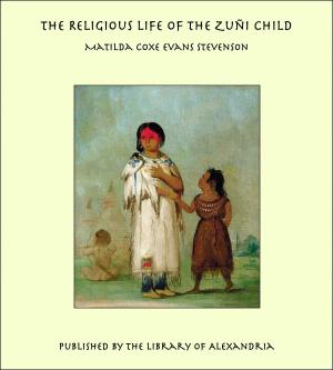 Cover of the book The Religious Life of the Zuñi Child by John A. Joyce