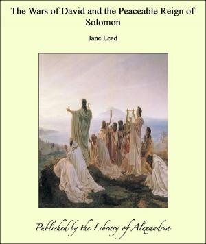 Cover of the book The Wars of David and the Peaceable Reign of Solomon by Alberto Mario