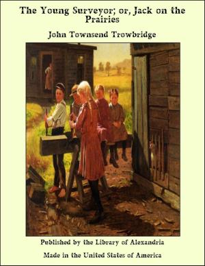 Cover of the book The Young Surveyor; or, Jack on the Prairies by Frank Fowler