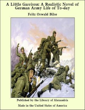 Book cover of A Little Garrison: A Realistic Novel of German Army Life of To-day