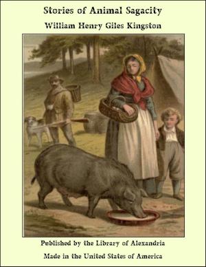 Cover of the book Stories of Animal Sagacity by Albery Allson Whitman