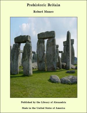 Cover of the book Prehistoric Britain by Silvio Famularo