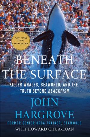 Cover of the book Beneath the Surface by Iris Johansen