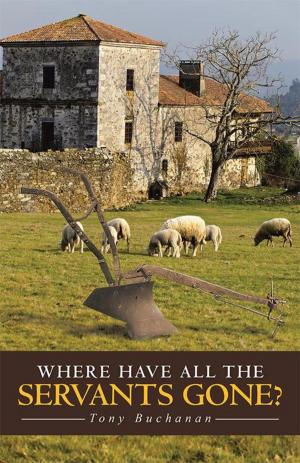 Cover of the book Where Have All the Servants Gone? by Carlton Lee Arnold
