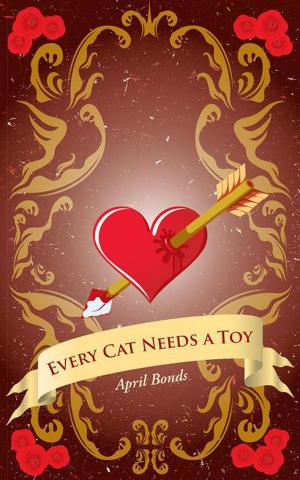 Cover of the book Every Cat Needs a Toy by Kateryann Johnson CPA CGMA CFF