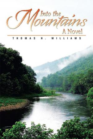 Cover of the book Into the Mountains by Robert A. Stallings