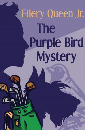 Cover of the book The Purple Bird Mystery by Paul Donovan