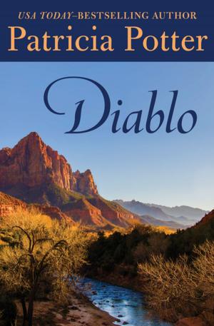 Cover of the book Diablo by Jennifer Johnston