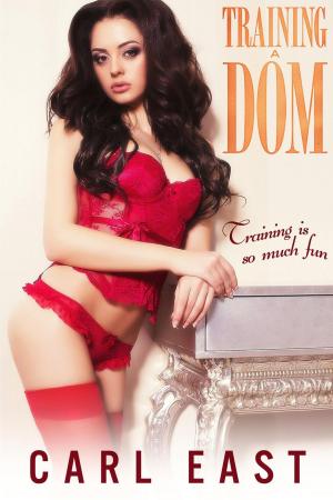 Cover of the book Training a Dom by Monica Young