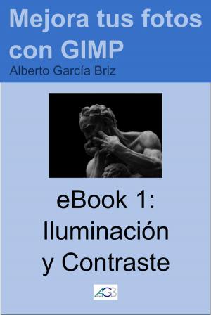 Cover of the book Iluminación y Contraste by Malin Fabbri