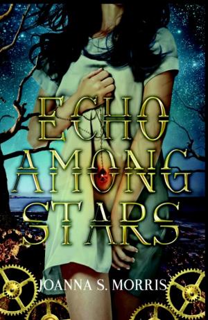 Cover of Echo Among Stars
