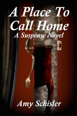 Cover of the book A Place to Call Home by J.T. Twerell