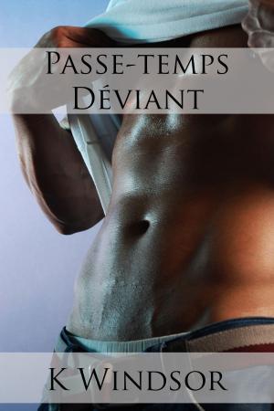 Cover of the book Passe-temps Déviant by Lucas Terry