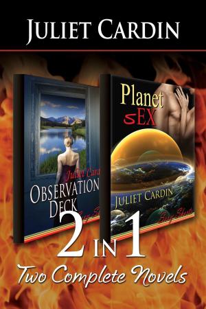 Cover of the book 2-in-1: Planet sEx & Observation Deck by Sarah Winn