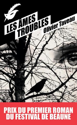 Cover of the book Les Âmes troubles - Prix du premier roman du festival de Beaune 2015 by Violaine Vanoyeke