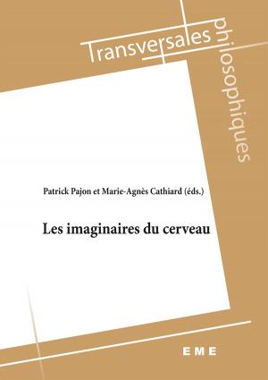Cover of the book Les imaginaires du cerveau by Claude Le Fustec, Françoise Storey, Jeff Storey