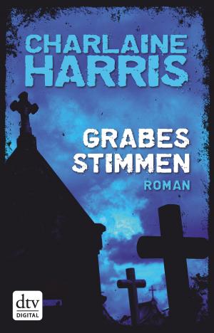 Cover of the book Grabesstimmen by David Adam