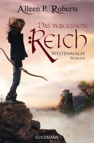 Cover of Das vergessene Reich