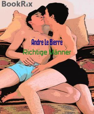 Cover of the book Richtige Männer by Phoebe Wilby
