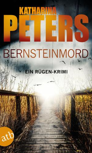 Cover of the book Bernsteinmord by Henrik Siebold