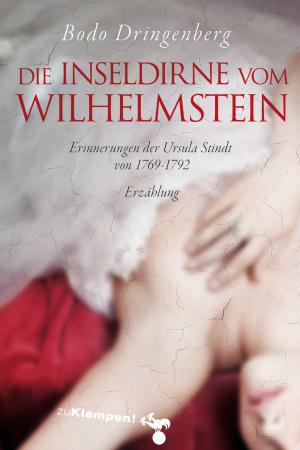 Book cover of Die Inseldirne vom Wilhelmstein