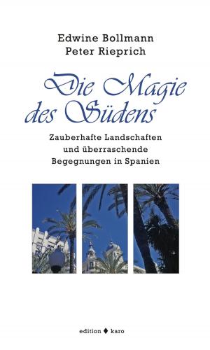 Book cover of Die Magie des Südens