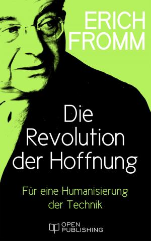 Cover of the book Die Revolution der Hoffnung. Für eine Humanisierung der Technik by Todd Allington